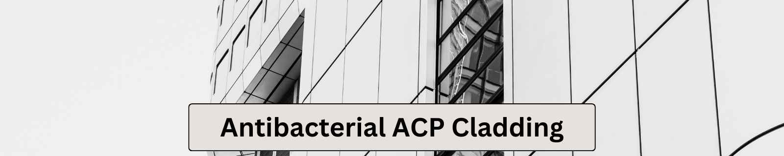 Antibacterial ACP